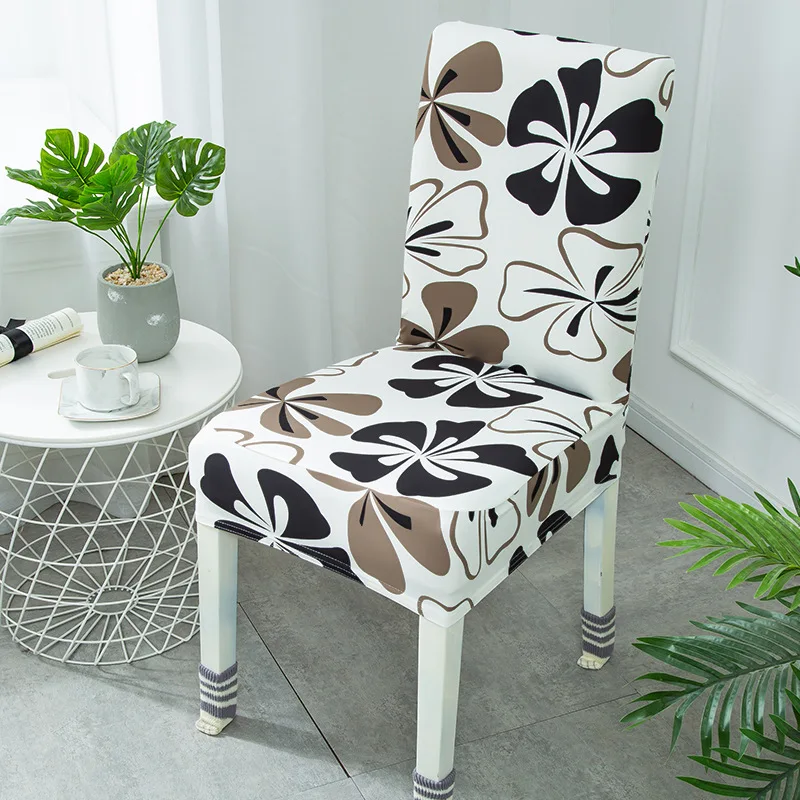 11186690510_123860573