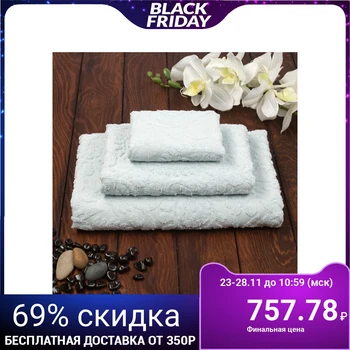 

Terry towel Sal 70x130 cm, menthol, cotton 100%, 380 g / m 4194585