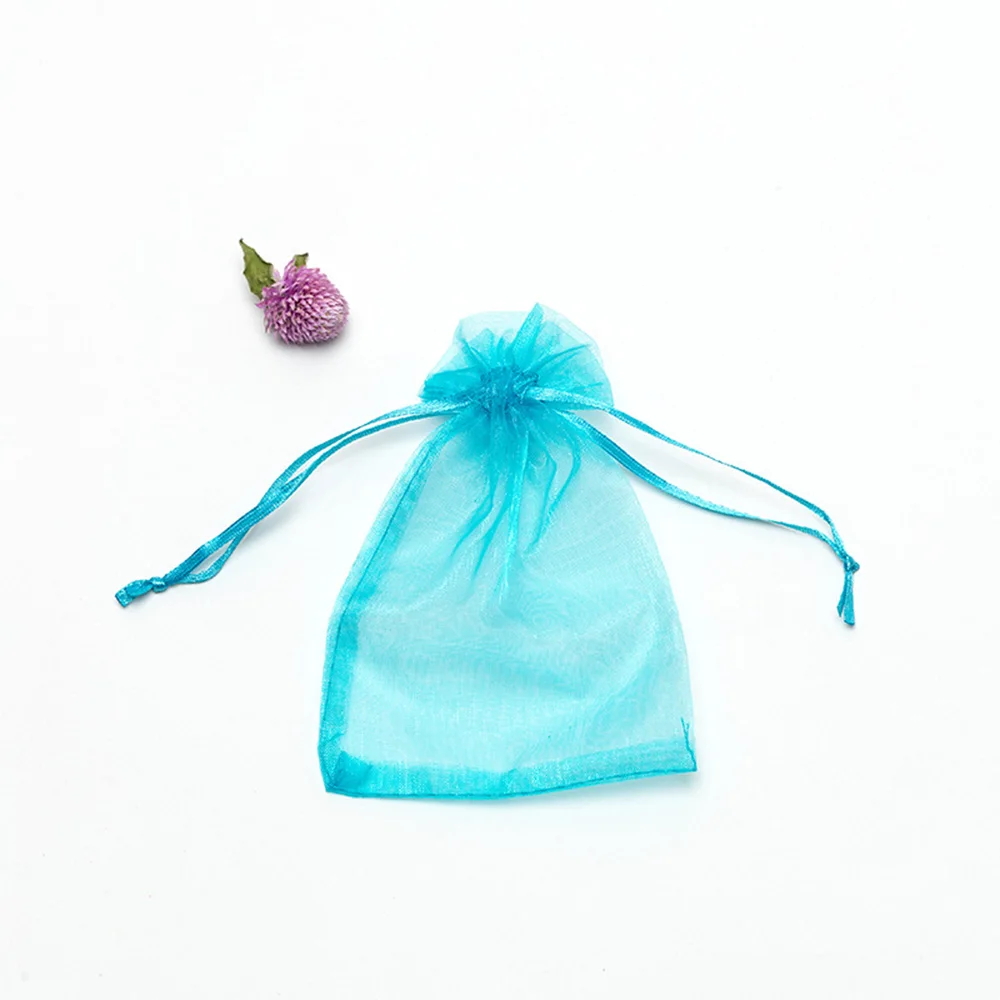 50PCS Garden Vegetables Fruit Grow Plants Protection Bags Anti-Bird Gardening Drawstring Netting Candy Grape Apple Mesh Pouch 