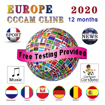 

6 Lines 1 Year Europe Cccam Cline 7 lines 1 Year Oscam Cline HD AV Cable For Satellite Receiver DVB-S2 Spain