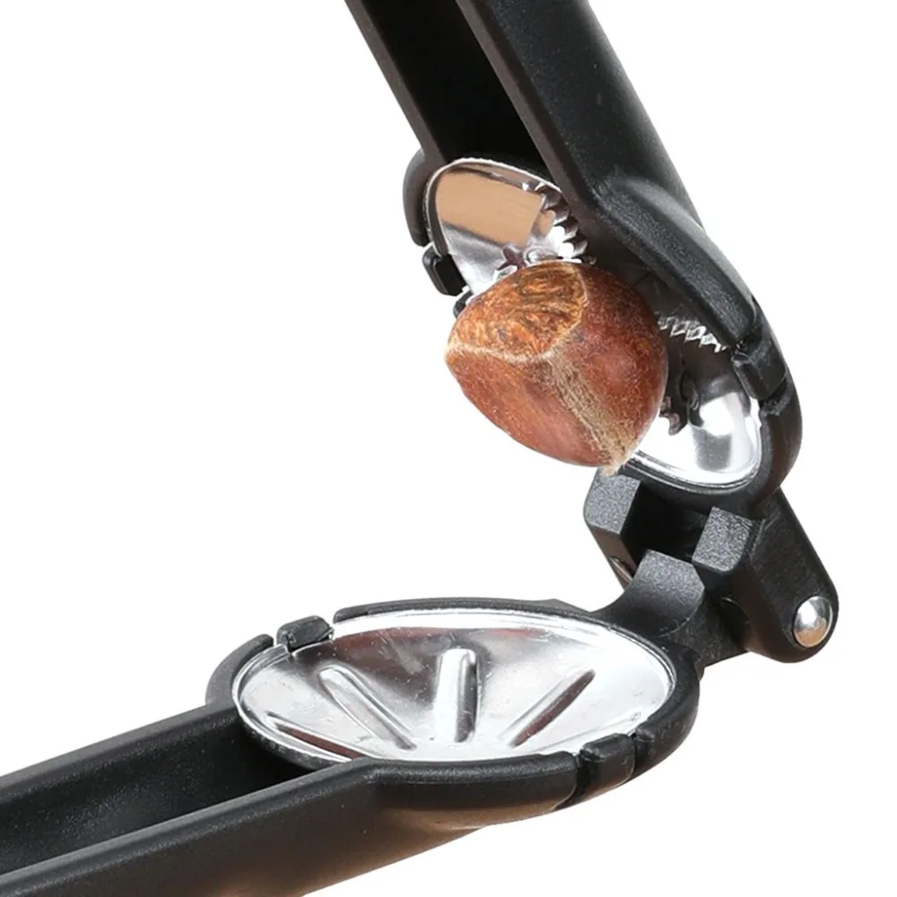 ZQQ90904122_0436369791179723085