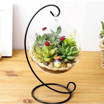 

Beautiful Hanging Glass Vase Large Terrarium with Frame for Air Plants Succulent Planters
