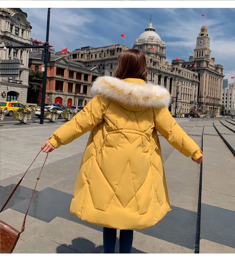 11535093223_822615558