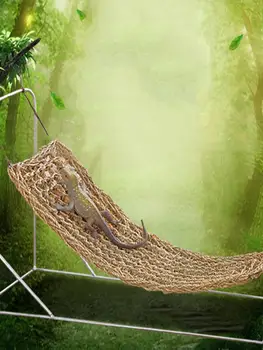 Reptile Lizard Hammock