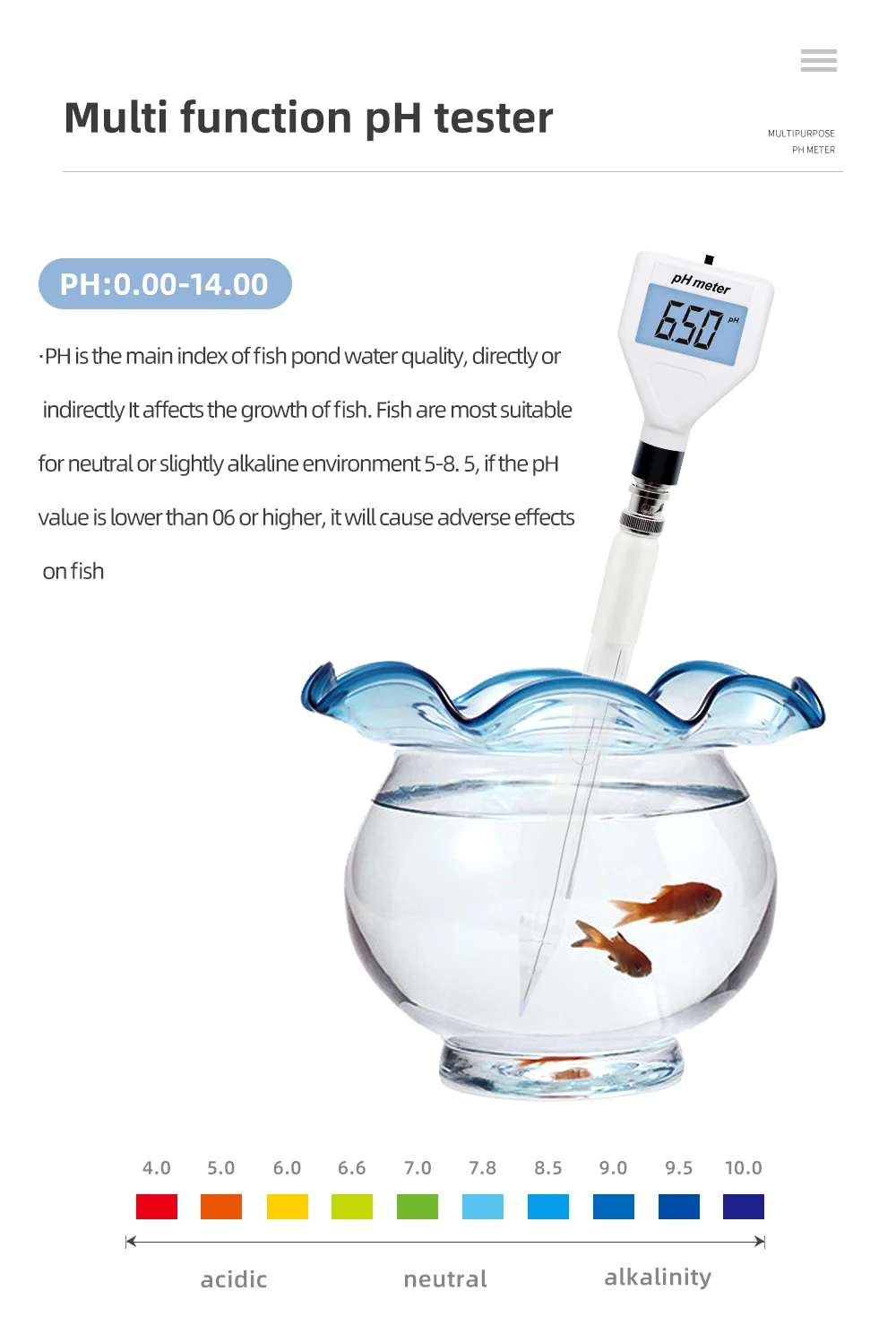 luz de fundo branco para queijo carne solo 40 03