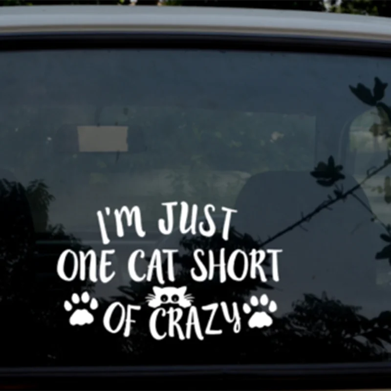 15*9,2 см, наклейка с надписью «I'm Just One Cat» и надписью Crazy Car