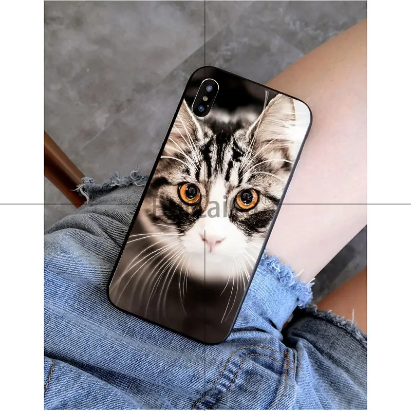 Black Cat Watch Eyes 