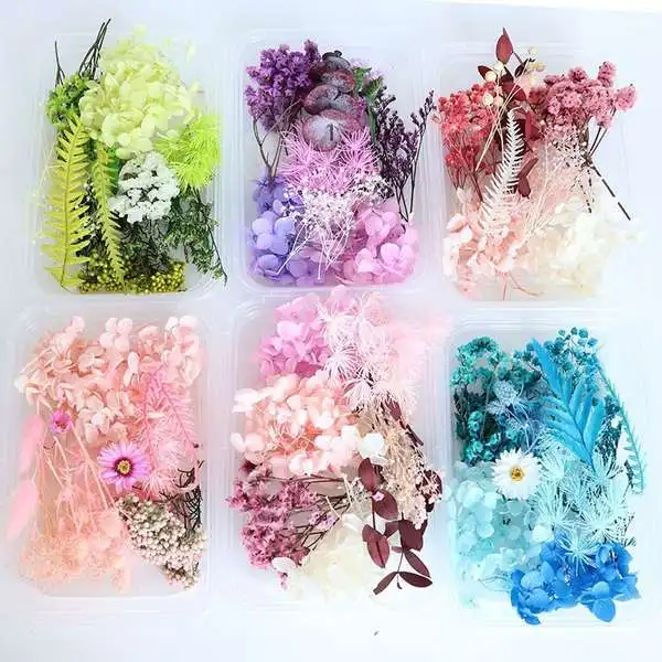 Resin Filler Mixed Dried Dry Flowers Decoration Multicolor Natural Floral Nail Art Epoxy Mold Filling Jewelry Components DIY | Дом и сад