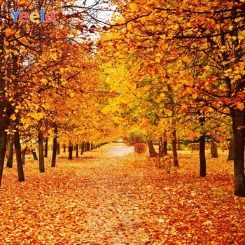 

Yeele Photography Autumn Backdrop Forest Red Leaves Tree Baby Shower Children Background For Photo Studio Photocall Photophone