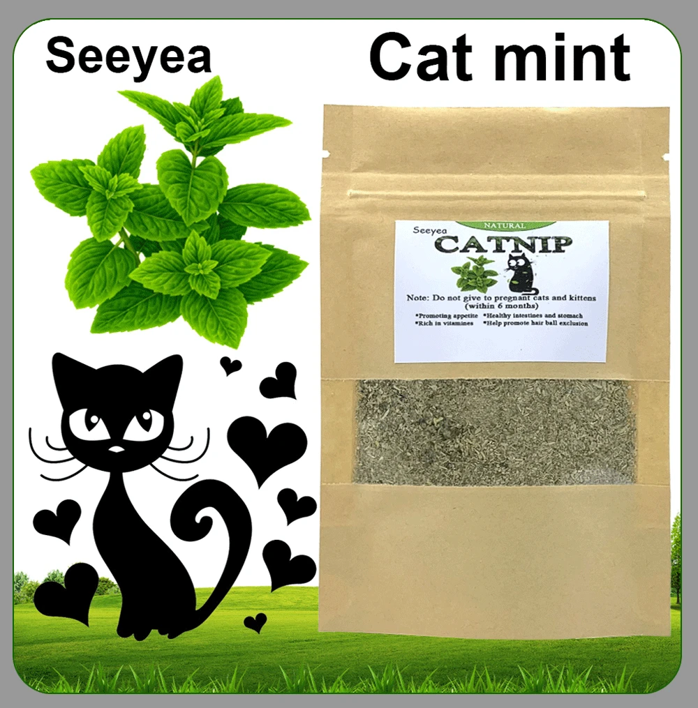 Is Menthol Bad For Dogs