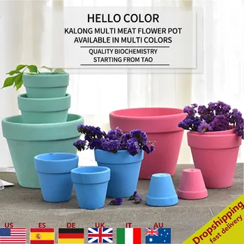 

Multi Colors Cactus Pot Succulent Plant Pots Small Mini Clay Ceramic Pottery Planter Flower Terracotta Pot Home Decor