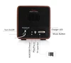 REDAMIGO Digital FM Radio Digital linternet radio portable fm Radio Mini bluetooth Speaker TF card Player RADR917 ► Photo 2/6