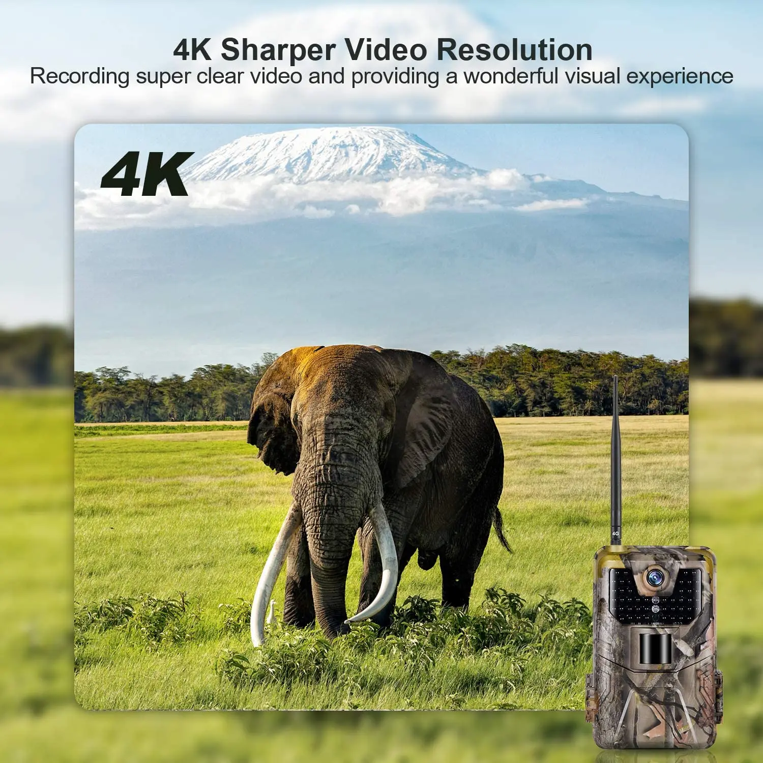Hunting Trail Camera 4K/2K Live Video APP Trail Camera 4G Cellular 30MP Live Stream Night Vision HC900PRO