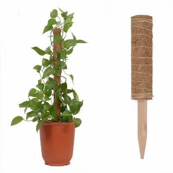 

Plant Climbing Bracket Column Household Balcony Green Rose Planting 30CM/40CM/50CM Gardening Decorative Natural Fiber Pillar