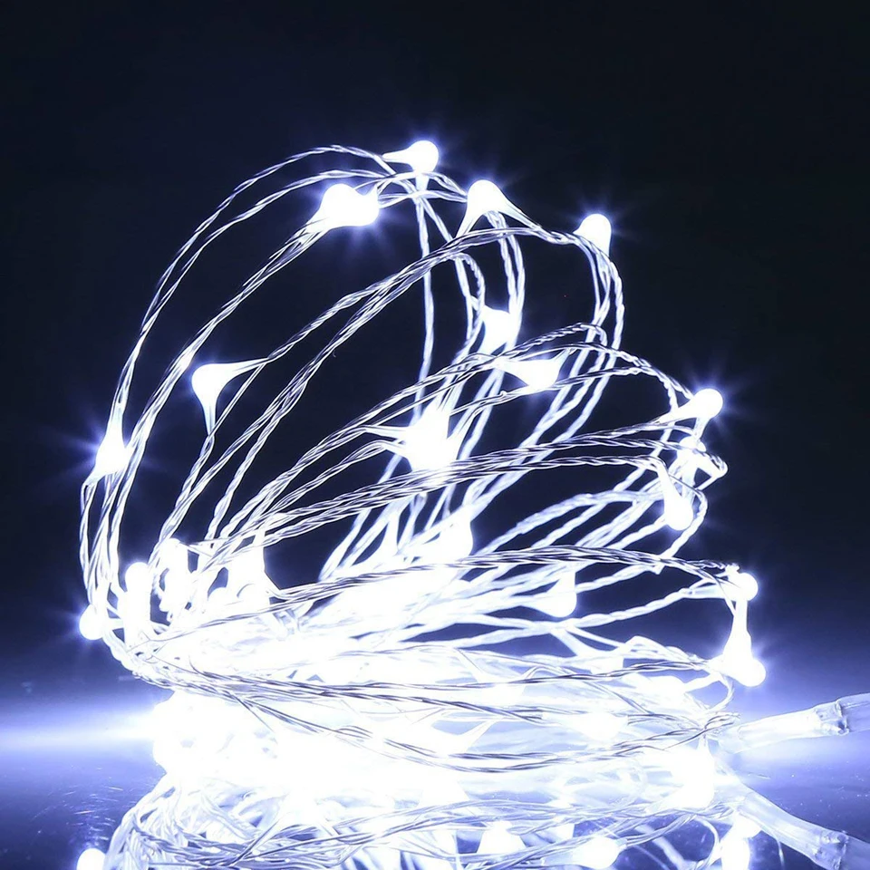 led holiday light (10)