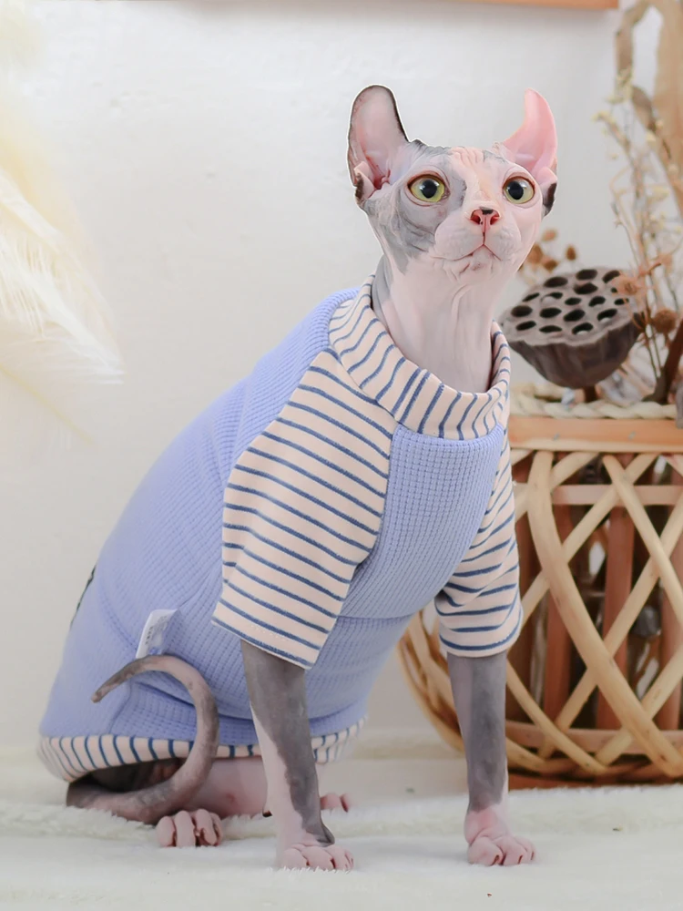 sphynx cat sweater