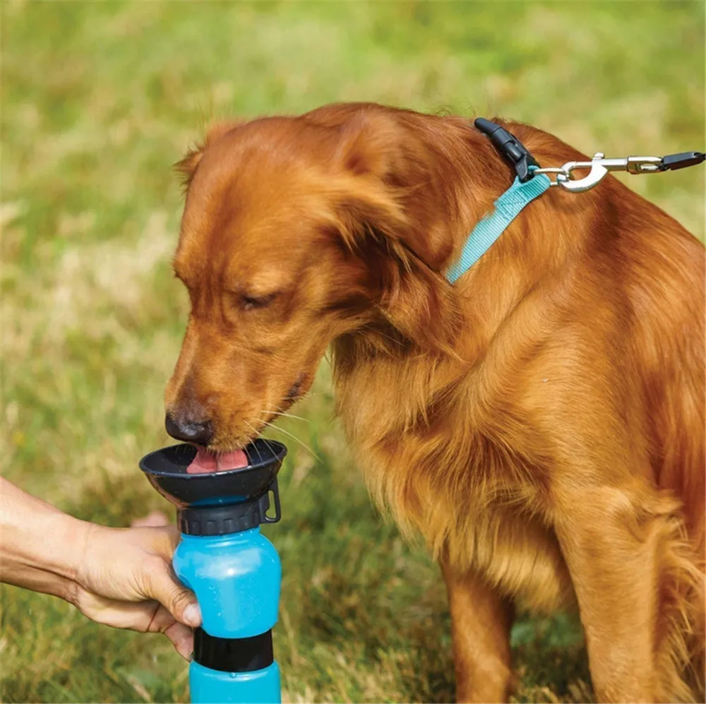 Pet питьевая вода для собак, бутылка для спорта, выдавливания, щенка, кота, портативная, для путешествий, на открытом воздухе, миска, кувшин для питьевой воды, чашка, диспенсер