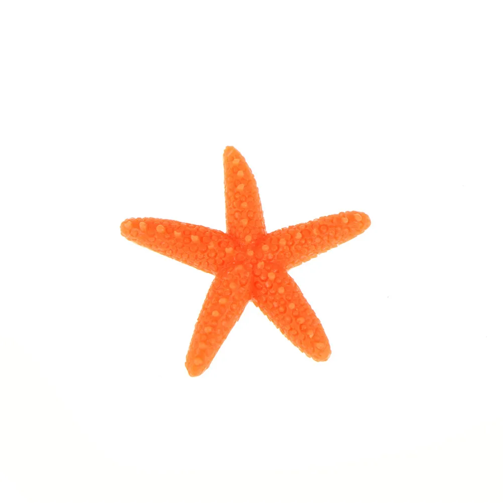 6pcs/lot Tablet Micro Landscape Nautical Decoration Natural 5 Colors sea star Starfish Shells Mini Crafts 3*3cm