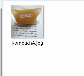 kombucha 50 грамм набор грибков - Цвет: kombucha