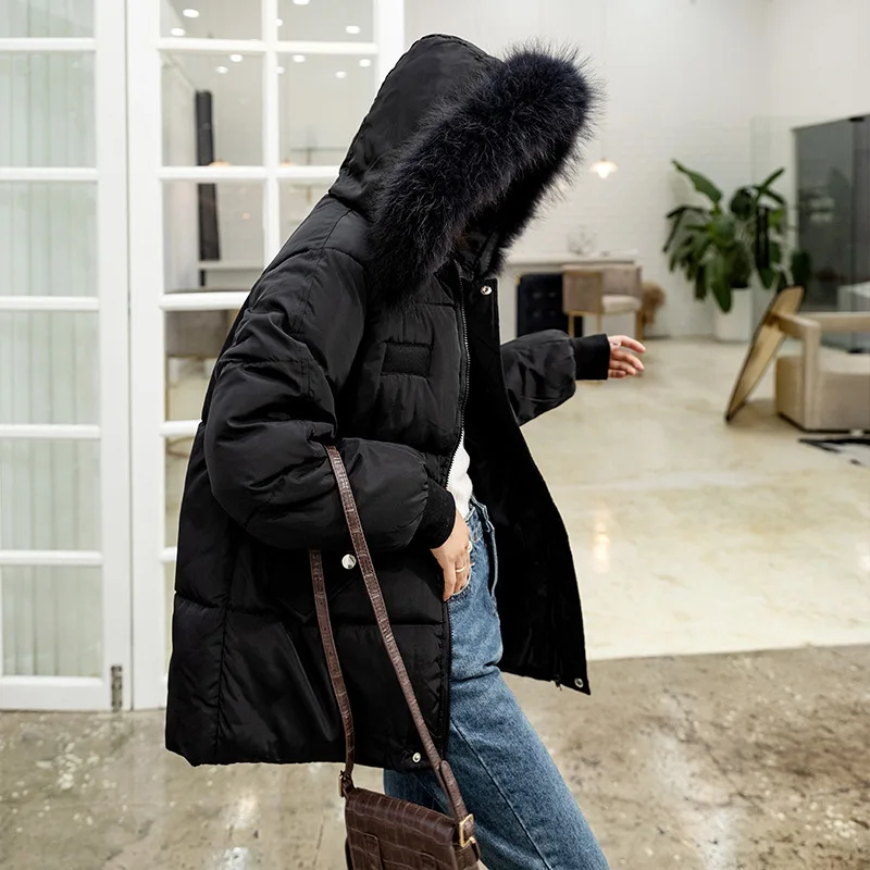 

Down Jacket Cotton-padded Clothes Female Short Coltsfoot 2019 New Style Korean-style INS down Coat Cotton-padded Jacket Loose Th