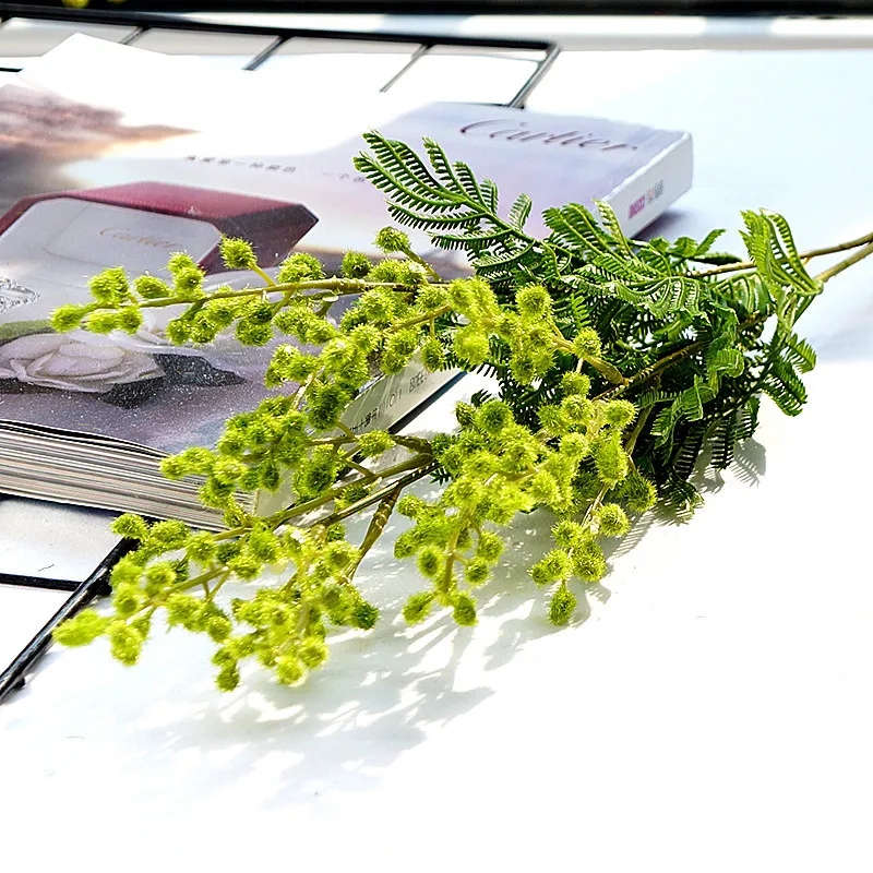 12439586723_874253957