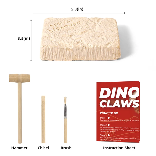 Dinosaur Claw & Tooth Fossils Dinosaur Teeth Fossils Excavation Kit  Digging Dinosaur Archeology Kit For Kids Dino Dig Kit Toy 4