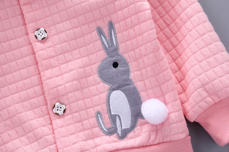 Baby girl clothes spring and autumn cotton thick warm set casual cartoon cute rabbit set baby long-sleeved baby girl two-piece Baby Clothing Set cheap