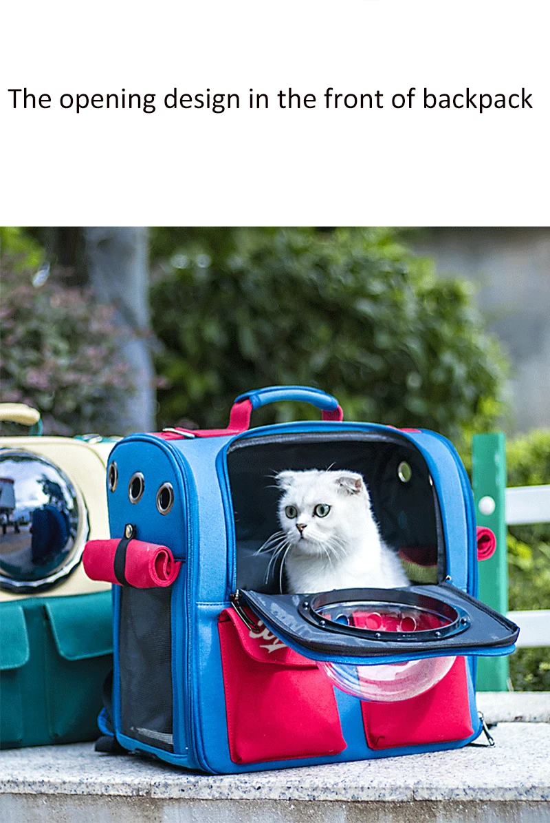 Foldable Pet Carrier Bag Cat Dog