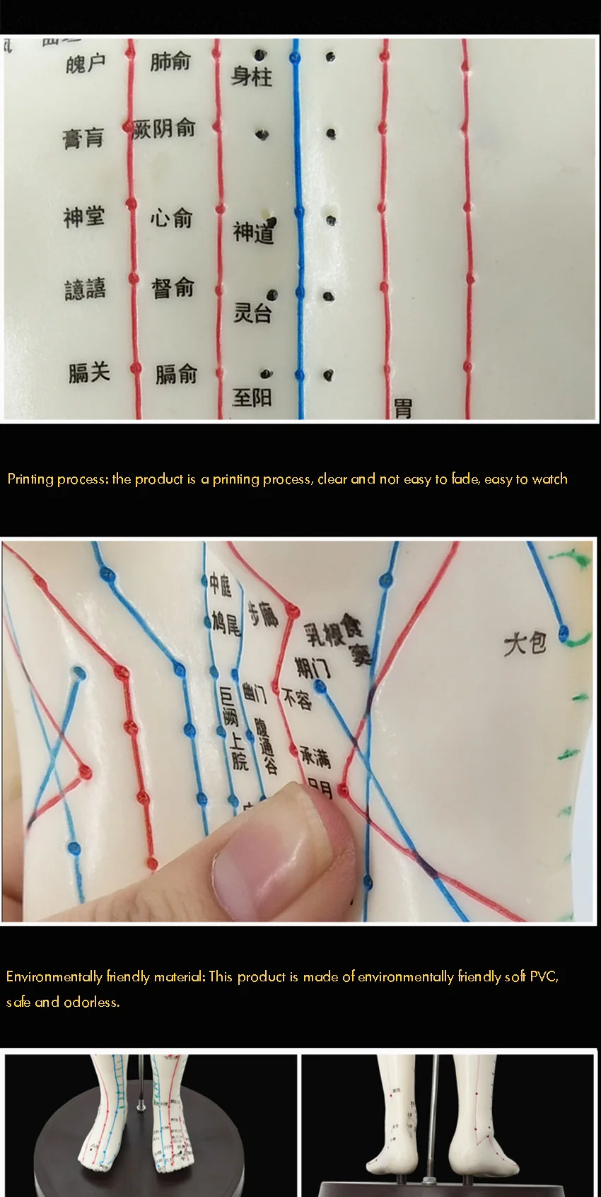Женская/мужская модель акупунктуры 50 см с китайскими точками и основанием ПВХ модель акупунктуры человека модель акупунктуры модель точки акупунктуры