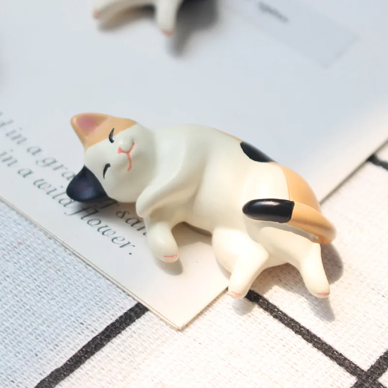 H2430e6af50494fd99a9bd45dddcb242eM.jpg?width=800&height=800&hash=1600