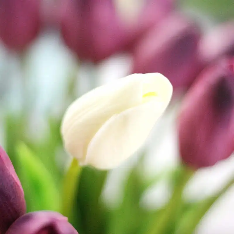 31 шт./лот Искусственные цветы тюльпаны искусственный букет из ПУ настоящие на ощупь цветы для дома Свадебные Декоративные цветы и венки - Цвет: 2