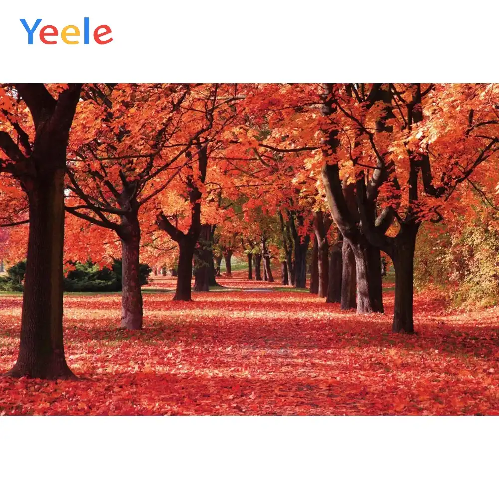 Yeele Autumn Tree Red Leaves Forest Backdrop Nature Scenery Vinyl Photography Background For Photo Studio Photophone Photocall Background Aliexpress