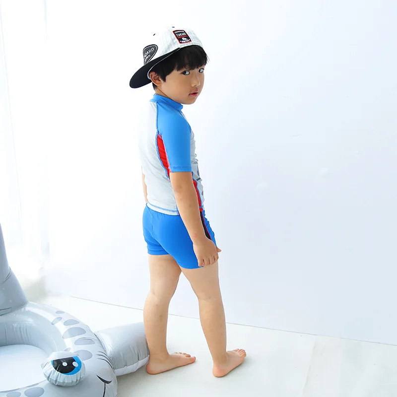 

Cartoon Shark Zipper Split Type Diving Suit Cute BOY'S Big Boy Surf Wear Three-piece Set-KID'S Swimwear