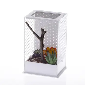 

AUGKUN Mantis Acrylic Feeding Box Mantis Breeding Box Insect Transparent Reptile Feeding Box Transparent Panorama In Stock