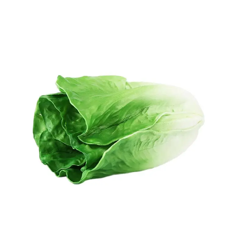 Realistic Lifelike Decorative Artificial Lettuce Fake Vegetables House Kitchen Wedding Party Cabinet Display Decor food model food photography props vegetable ornaments