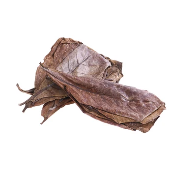 

20pcs/LOT Natural Leaves Almond Tree Indian Almond Tree Olive Leaf For Aquarium Water To Balance PH Acidity