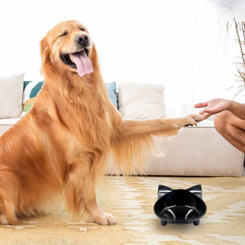 

For Cats Dogs Feeders Pet Products Cat Bow Non-slip Cat Bowls Double Pet Bowls Raised Stand Pet Food and Water Bowls
