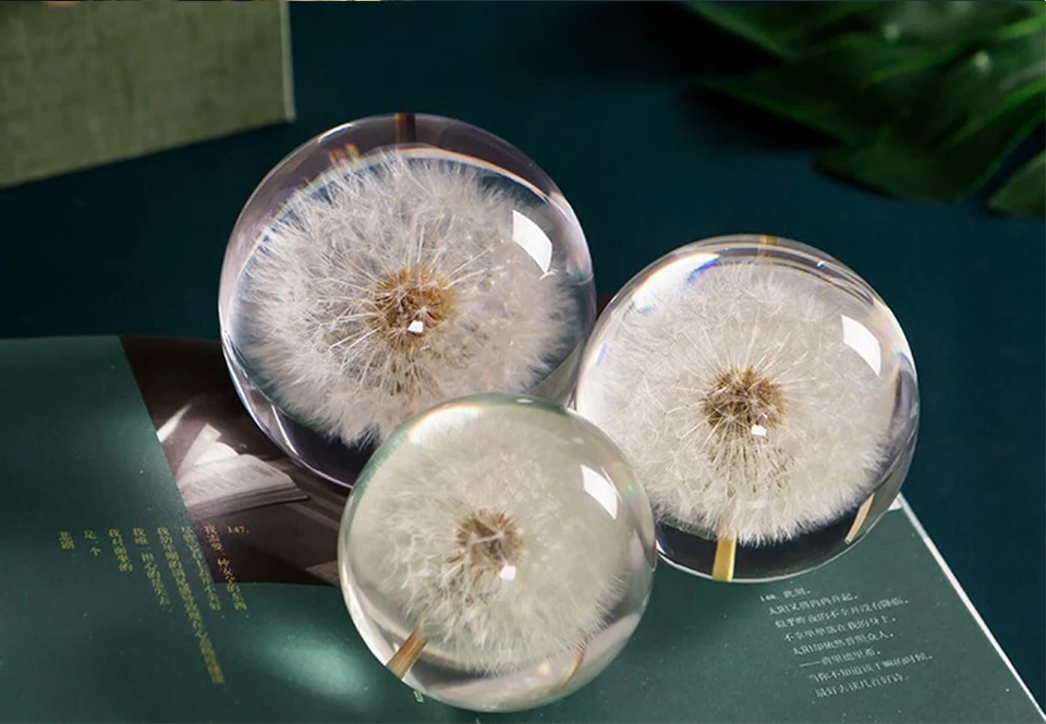 Resin Dandelion Real Natural Plants Specimen Crystal Lens Ball Gift w/Box Stock 