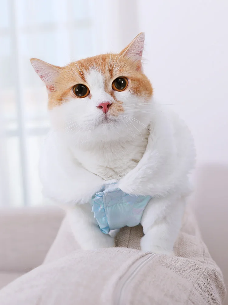 Одежда для кошек; милая английская Короткая синяя кошка; котенок; осенняя одежда для домашних животных; утолщенная осенне-зимняя одежда BB50WY