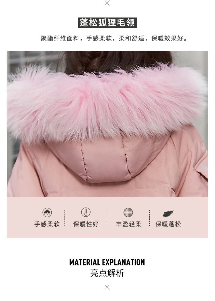 11684452368_2137963351