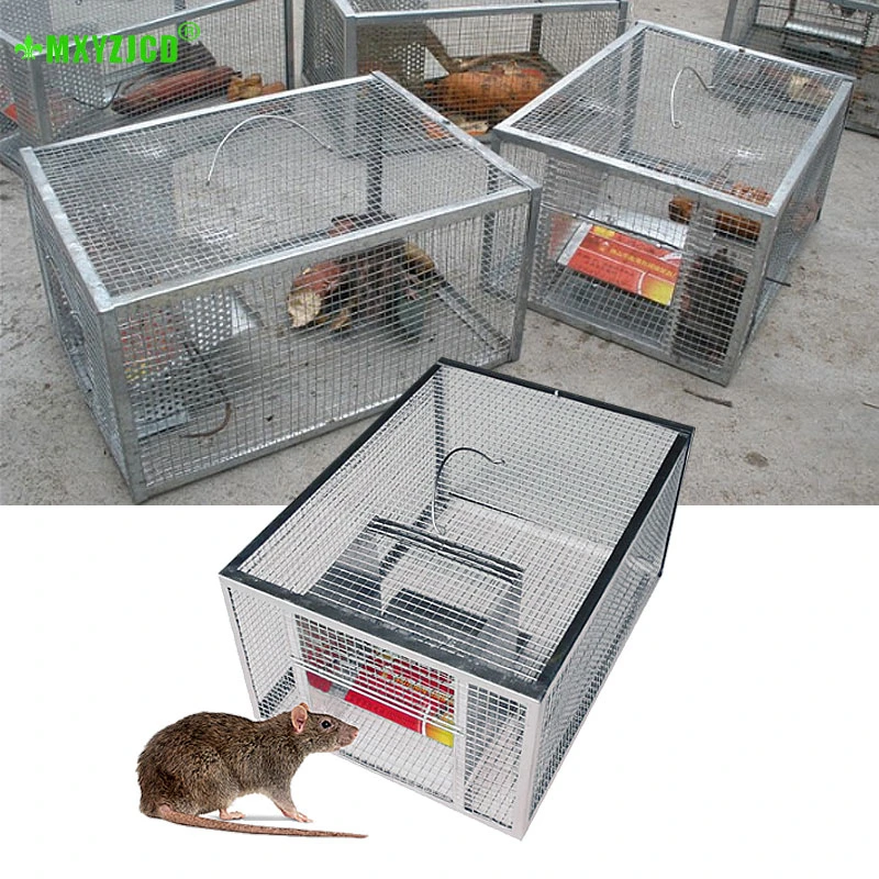 Trampas para ratones para la familia, trampa para ratones rápida al  instante, Control de plagas para el hogar, trampas para ratas - AliExpress