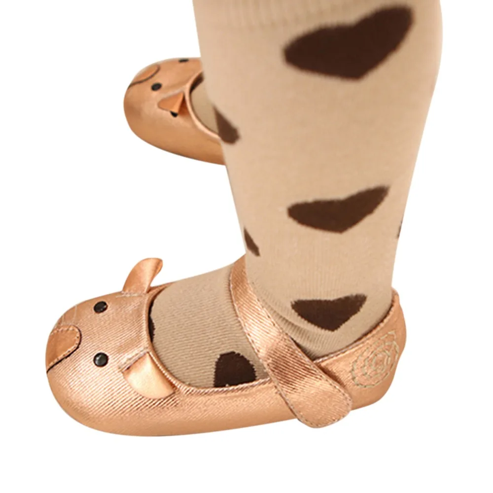XL1696M (8-1)
