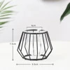 Geometric Metal and Glass plant holder 6