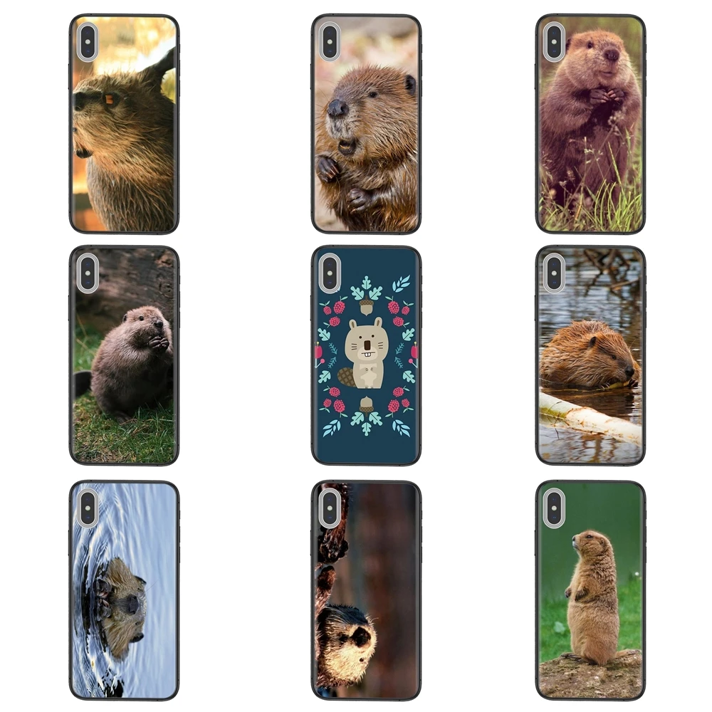 Для Apple iPhone 11 12 Pro Mini XS Max XR X 8 7 6 6S Plus 5 фотоблесток зоопарк с рисунком по всему миру