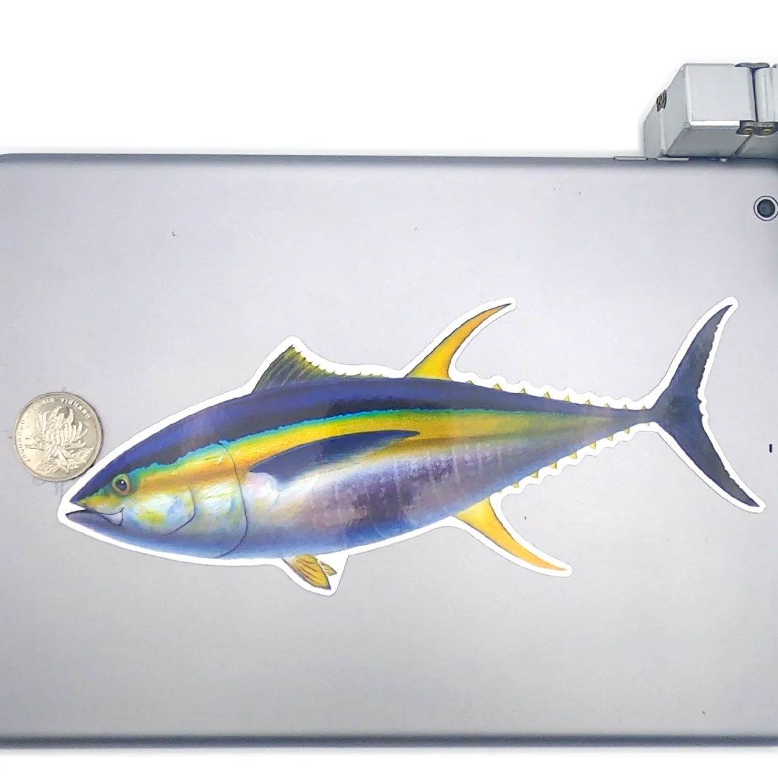20 cm Barsch Snapper Thunfisch Skorpionfisch Großer Seefisch Wasserdichter Aufkleber für Fischer Fischerboote Gepäck Motorrad Autoaufkleber – Detail 11