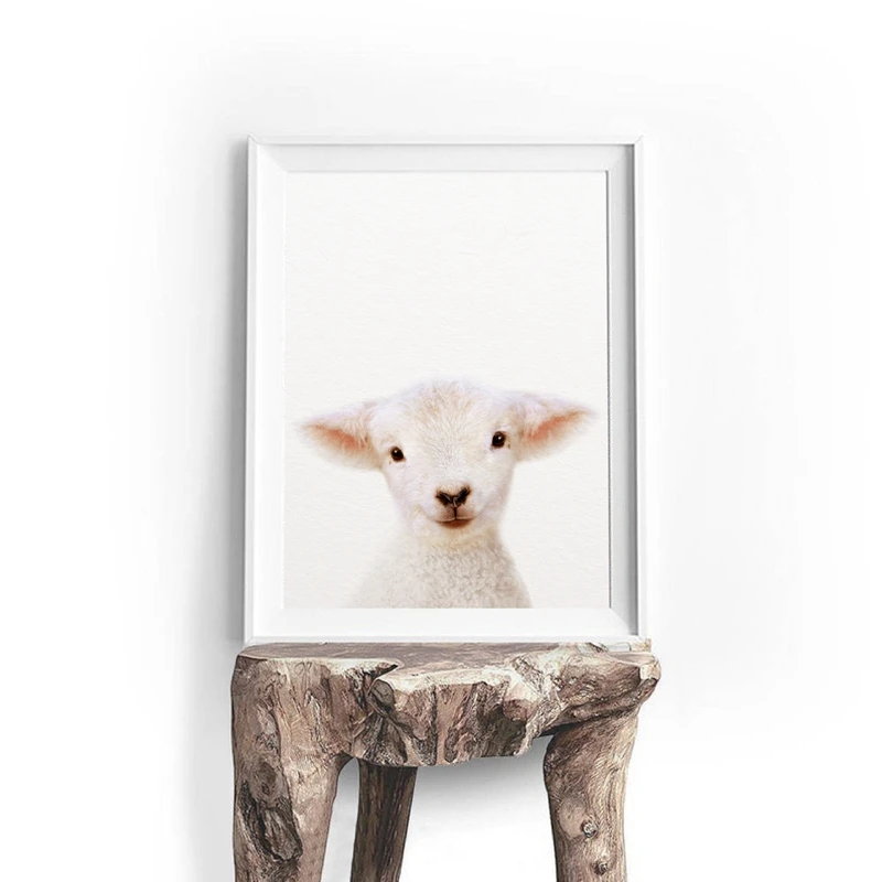 Baby Animal Lamb Canvas Print Nursery Wall Decor