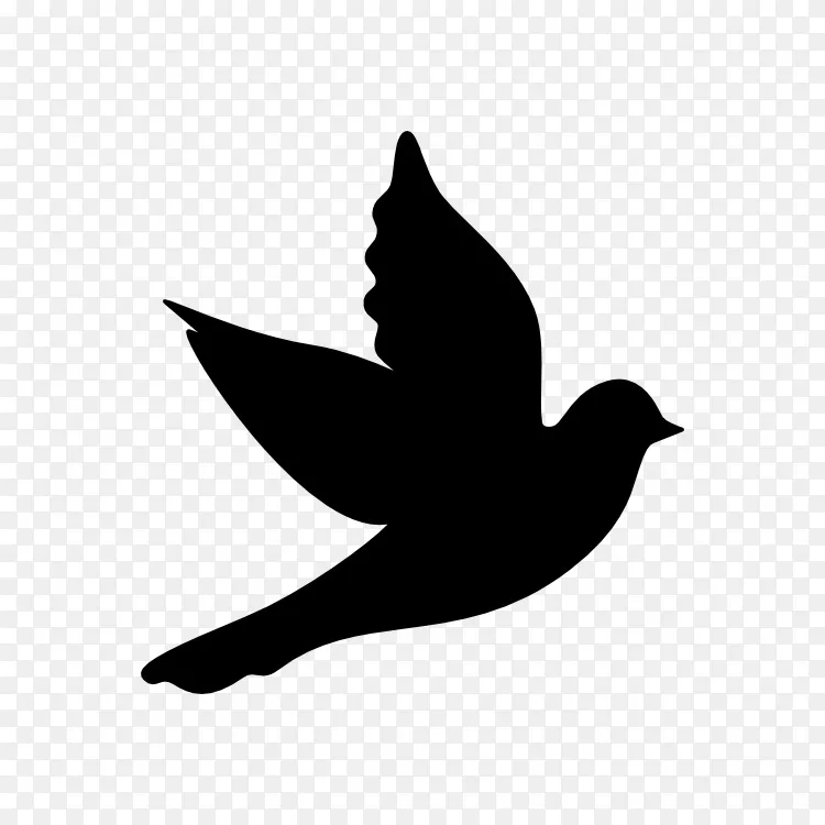 png鸽子作为符号计算机图标剪贴画符号图片