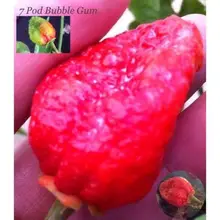 7 Pod Bubblegum Красный горячий перец 150 бонсай