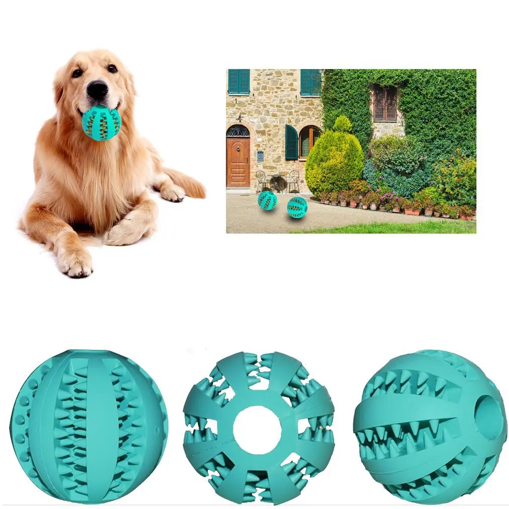 dog teeth cleaning ball