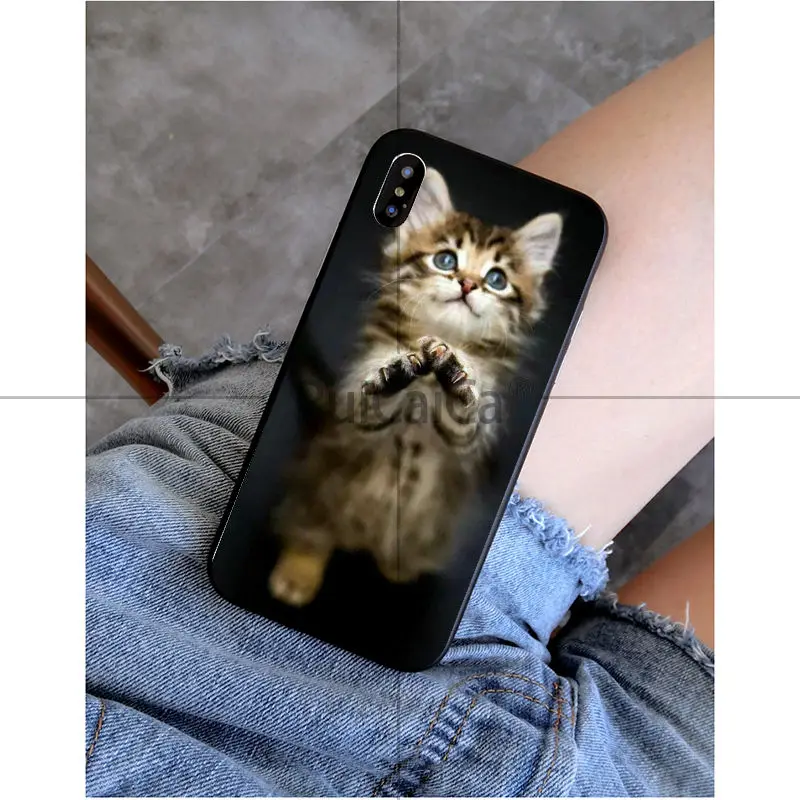 Black Cat Watch Eyes 